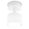 Бра Ambrella Light TA TA132