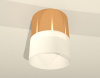 Накладной светильник Ambrella Light XS XS8121011