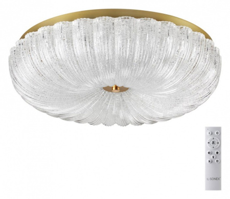 Накладной светильник Sonex Tesoro 7719/60L