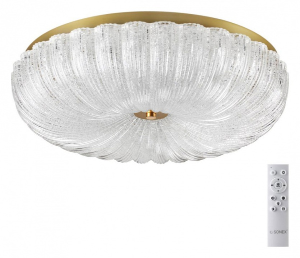 Накладной светильник Sonex Tesoro 7719/60L