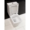 Чаша напольного безободкового унитаза BelBagno Regina BB104CP