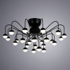 Потолочная люстра Arte Lamp Dexter A3619PL-24BK