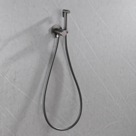 Гигиенический душ Abber Wasser Kreis AF8125NG со смесителем никель