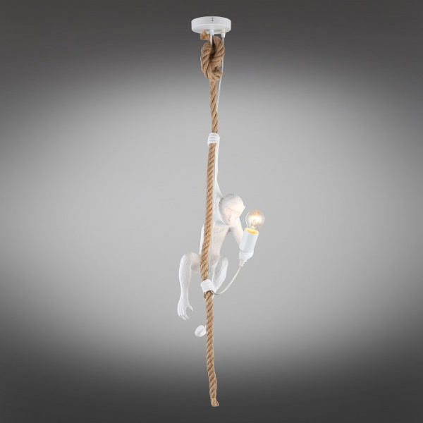 Подвесной светильник Aployt Magali APL.309.06.01