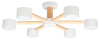 Потолочная люстра Arte Lamp TENDA A1624PL-6WH