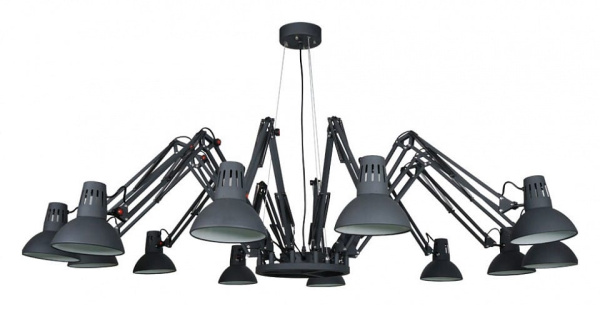 Подвесная люстра Arte Lamp Engineer A2043SP-12BK