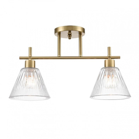 Светильник на штанге Lumion Vivian 8188/2C
