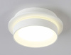 Накладной светильник Ambrella Light TN TN5383