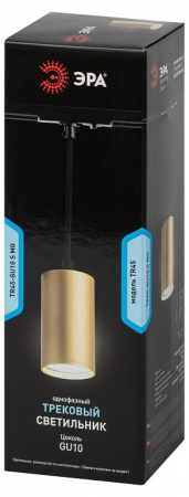 Подвесной светильник Эра TR45 GU10 S MG