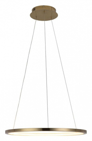 Подвесной светильник Loft it Ring 10014M