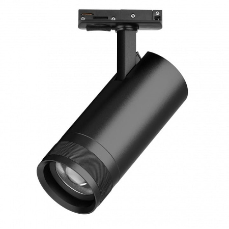 Светильник на штанге Lightstar Canno Pro C4207SS