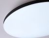 Накладной светильник Ambrella Light FZ FZ2004