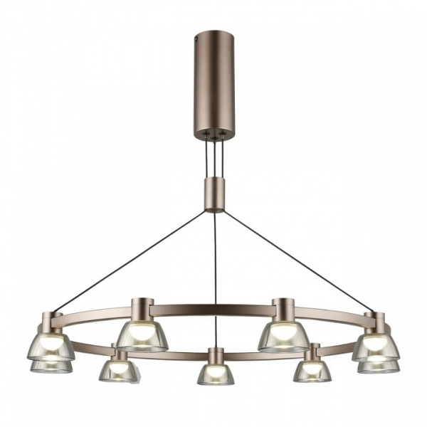 Подвесная люстра Aployt Rezeda APL.788.03.09