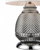 Настольная лампа декоративная Vele Luce Fiona VL5623N21