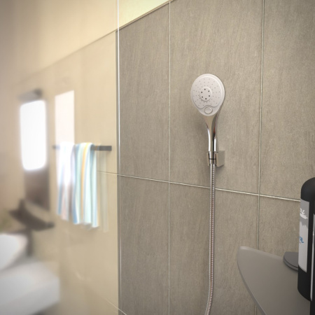 Душевая лейка Paini Bergamo R BRCR131R