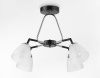 Люстра на штанге Ambrella Light TR TR303293