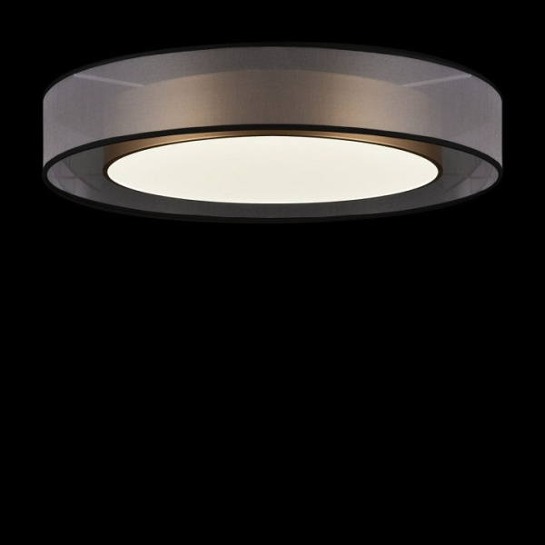 Накладной светильник Freya Zoticus FR6005CL-L48G