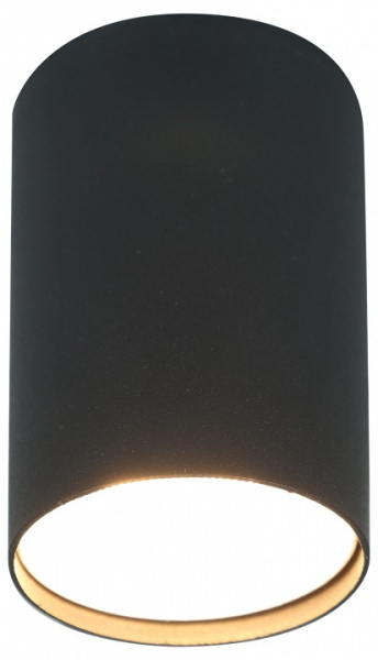 Накладной светильник Эра OL57 BK