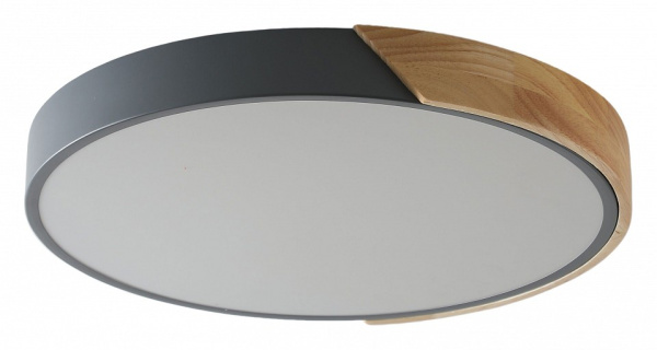 Накладной светильник Zortes Alberro ZRS.01280.72