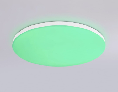 Накладной светильник Ambrella Light FZ FZ2001