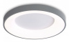 Накладной светильник Ambrella Light FZ FZ1402