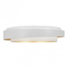 Накладной светильник EVOLUCE Crosby SLE6009-502-01