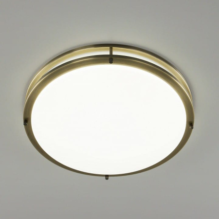Накладной светильник Citilux Бостон CL709503N