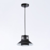 Подвесной светильник Ambrella Light TR TR8172