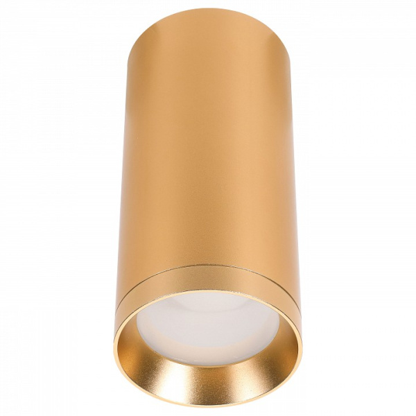 Накладной светильник Lucia Tucci LTP LTP-C005-01GU10-G