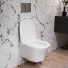 Подвесной унитаз Damixa Skyline DX35C1700SC с крышкой-сиденьем