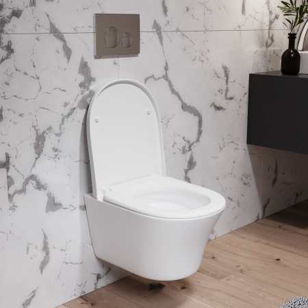 Подвесной унитаз Damixa Skyline DX35C1700SC с крышкой-сиденьем