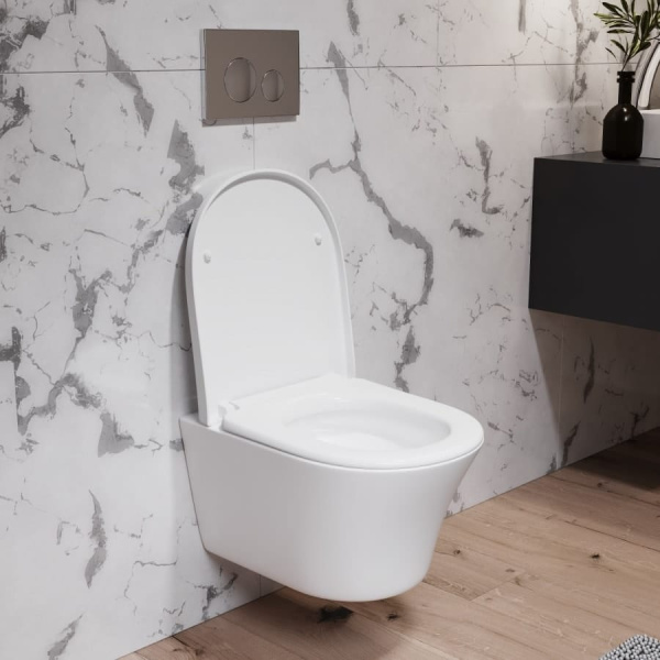 Подвесной унитаз Damixa Skyline DX35C1700SC с крышкой-сиденьем