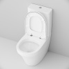 Унитаз AM.PM Inspire C508607WH