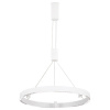 Подвесной светильник Ambrella Light FL FL5844