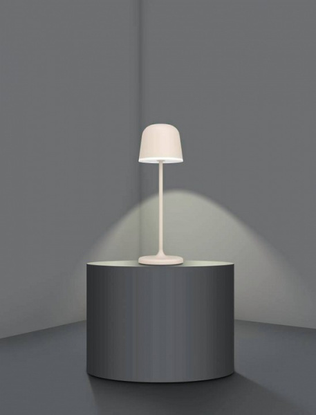 Настольная лампа декоративная Eglo Mannera 900461