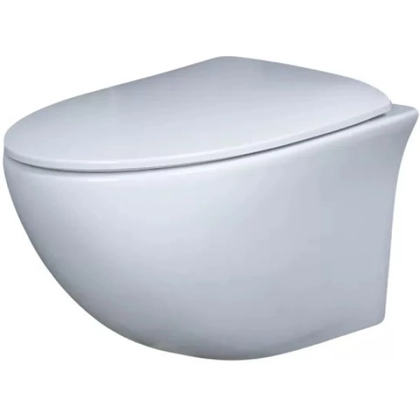 Унитаз подвесной GID Tr2193 безободковый, с сиденьем микролифт, белый
