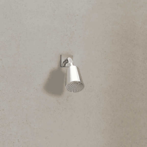 Верхний душ Dornbracht Imo 28504670-00 с держателем