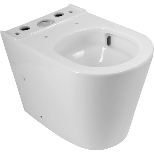 Унитаз напольный BelBagno Flay-R BB2149CP-TOR/SC безободковый, без бачка, торнадо, с сиденьем микролифт, белый