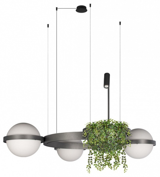 Подвесная люстра Loft it Jardin 10121/3 Dark grey